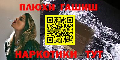 бошки Кингисепп