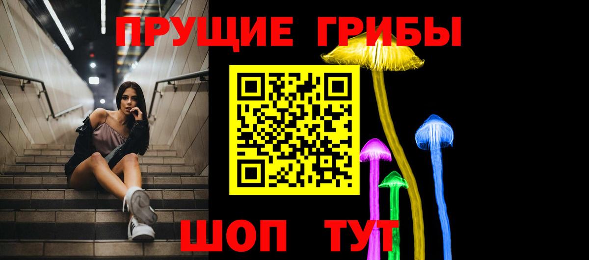 Псилоцибиновые грибы GOLDEN TEACHER Усолье-Сибирское